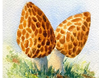 Art Print, Watercolor Mushroom, Kitchen Wall Art Print, Painting of Brown Morel Mushrooms