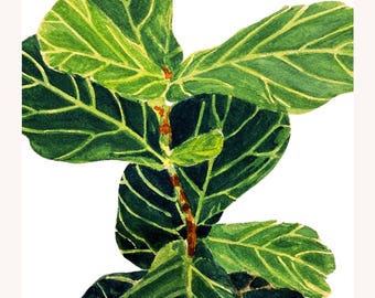 Fiddle Leaf Fig Print: Cream Lime Green Watercolor Plant Painting for Home Decor, Tropical Art