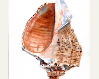 Seashell Art Print, Conch Shell Watercolor Painting, Beach Painting, Ocean Decor