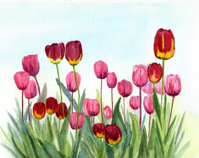 Watercolor Tulip Art Print: Pink & Red Floral Botanical Artwork