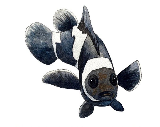 Clown Fish Art Print, Watercolor Painting of a Beautiful Black & White Aquarium Fish, Painting, Wall Decor