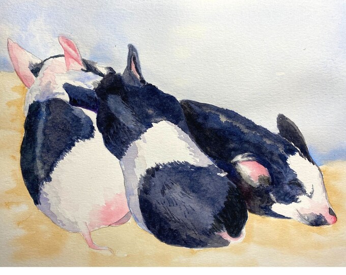 Pig Art Print, Farmhouse Decor, Watercolor Painting of Three Black and White Piglets Taking a Nap