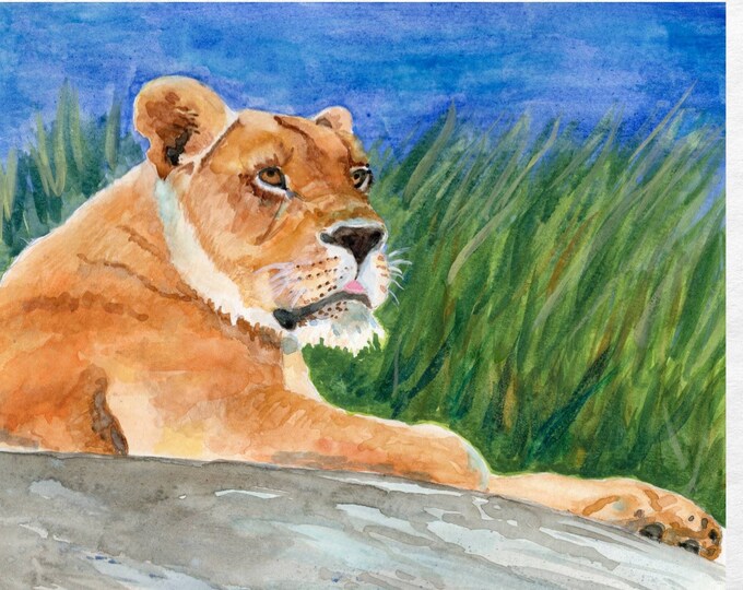 Lion Art Print, Watercolor Painting of a Lioness Resting on a Boulder, Cat Wall Art