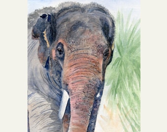 Asian Elephant Watercolor Painting Tropical Nursery Wall Art Print Contemporary Wildlife Decor Gift