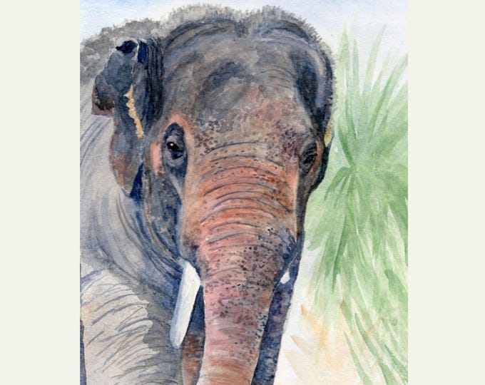 Asian Elephant Watercolor Painting Tropical Nursery Wall Art Print Contemporary Wildlife Decor Gift