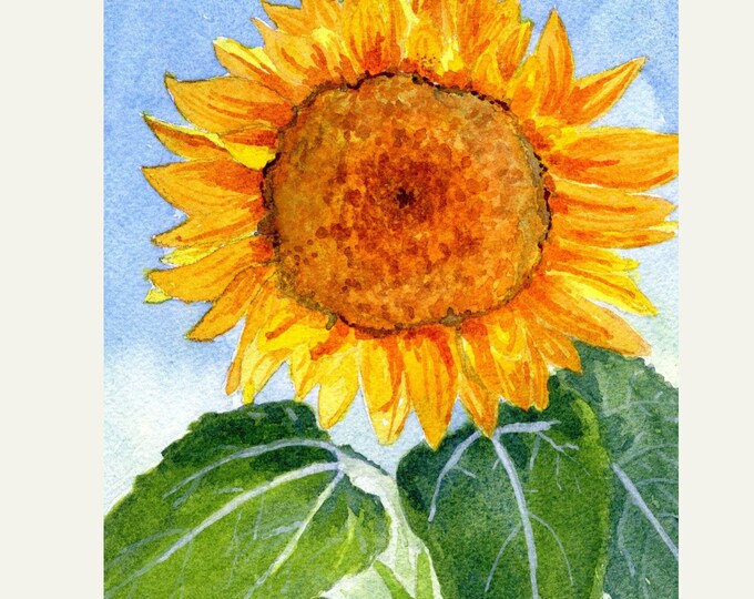 Sunflower Watercolor Painting Art Print: Summer Garden Decor