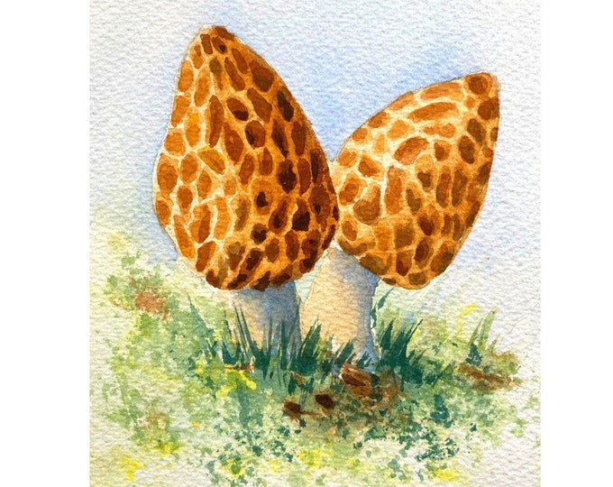 Art Print, Watercolor Mushroom, Kitchen Wall Art Print, Painting of Brown Morel Mushrooms