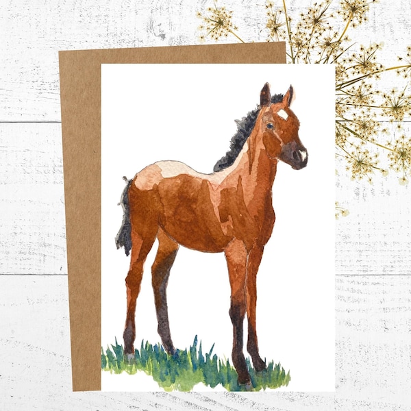 Horse Card, Watercolor Card, Painting of a Brown Foal, Note Cards, 4 Pack Card Set, Personalized Greeting Cards