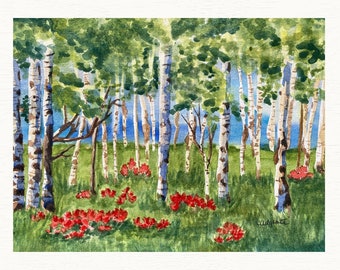 Watercolor Print: Painting of An Aspen Grove in a Green Meadow of Red Indian Paintbrush Flowers