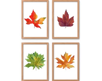 4 Piece Fall Watercolor Wall Art, Maple Leaf Prints, Watercolor Painting of Four Fall Leaves Changing Colors