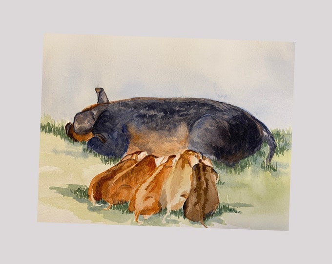 Pig Art Print, Watercolor Painting of a Black Sow Nursing her Brown Piglets, Farmhouse Decor