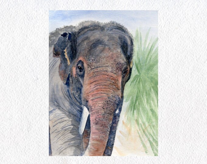 Playful Asian Elephant Wildlife Painting, Tropical Wall Art for Nursery, Bedroom, or Living Room Decor