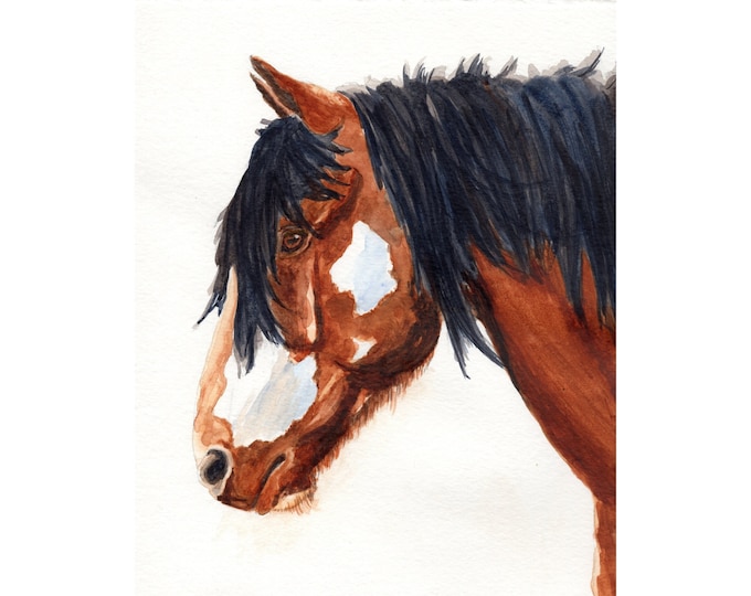 Horse Watercolor Print, Equine Art Print, Painting of a Brown and White Wild Horse