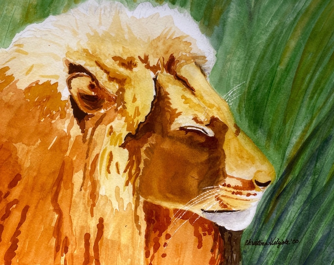 Watercolor Wall Art Print of A Sleeping Lion