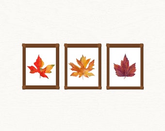Maple Leaf Prints, Watercolor Painting of Fall Leaves Changing Colors, 3 Piece Fall Decor