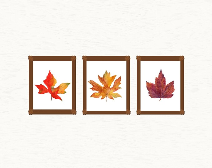 Maple Leaf Prints, Watercolor Painting of Fall Leaves Changing Colors, 3 Piece Fall Decor