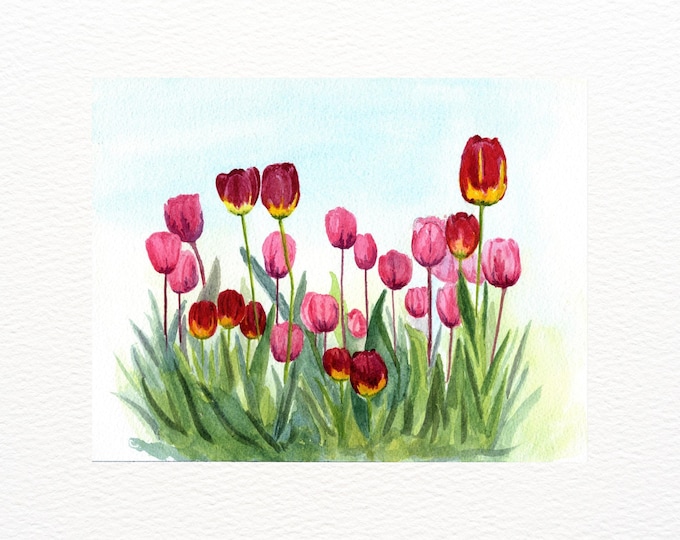 Tulip Art Print, Botanical Artwork, Painting of Pink and Red Tulips at Manito Park, Spokane, Washington