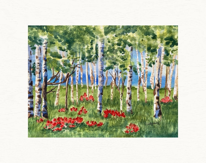 Print from Original Painting of an Aspen Grove in a Green Meadow of Red Indian Paintbrush Flowers