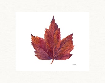 Maple Leaf Art, Watercolor Print, Painting of an Autumn Leaf Changing to Burgundy