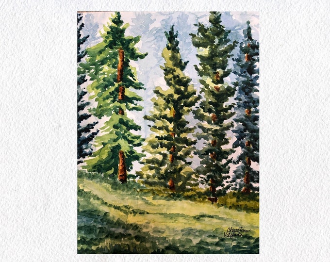 Pine Tree Art Print, Colorado Watercolor Painting of a Blue Spruce & Green Pine Tree Forest Painting, Wall Art