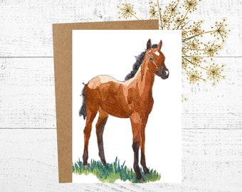 Horse Card, Watercolor Card, Painting of a Brown Foal, Note Cards, 4 Pack Card Set, Personalized Greeting Cards