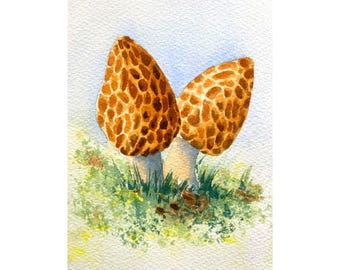 Watercolor Morel Mushroom Art Print: Kitchen Wall Decor by Christina Vilgiate
