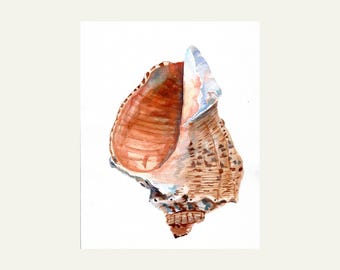Seashell Art Print, Conch Shell Watercolor Painting, Beach Painting, Ocean Decor