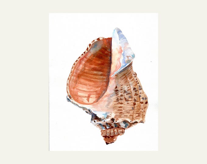 Seashell Art Print, Conch Shell Watercolor Painting, Beach Painting, Ocean Decor