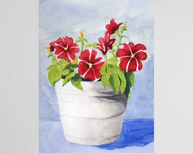 Petunia Art Print, Red and White Petunias in a White Flowerpot
