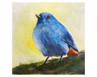 Bird Art Print from Watercolor Painting of a Blue Plumbeous Water Redstart