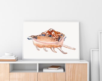 Seashell Art Print, Watercolor Painting of a Spider Conch Shell, Nautical Decor