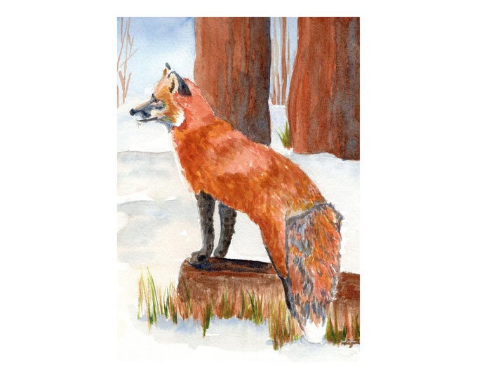Fox Watercolor Painting, Wall Art Print