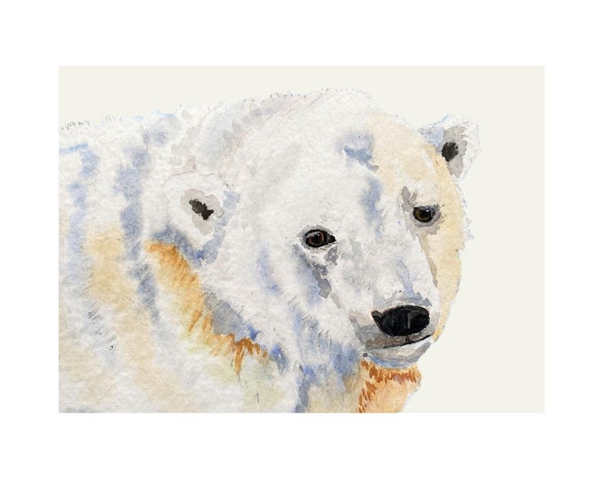 Polar Bear Art Print: Nature Themed Home Decor by Christina Vilgiate