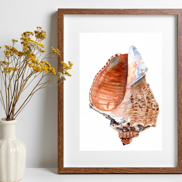 Seashell Art Print, Conch Shell Watercolor Painting, Beach Painting, Ocean Decor