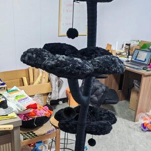 May include: A black cat tree with multiple levels and a central scratching post. The platforms are covered in a soft, plush material. The cat tree has a sturdy base and several dangling pom-poms for play.