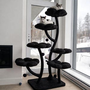 May include: A black cat tree with flower-shaped platforms. Two cats are resting on the top platforms. The cat tree is made of a soft, plush material and has a sturdy base. The cat tree is placed near a window in a home.