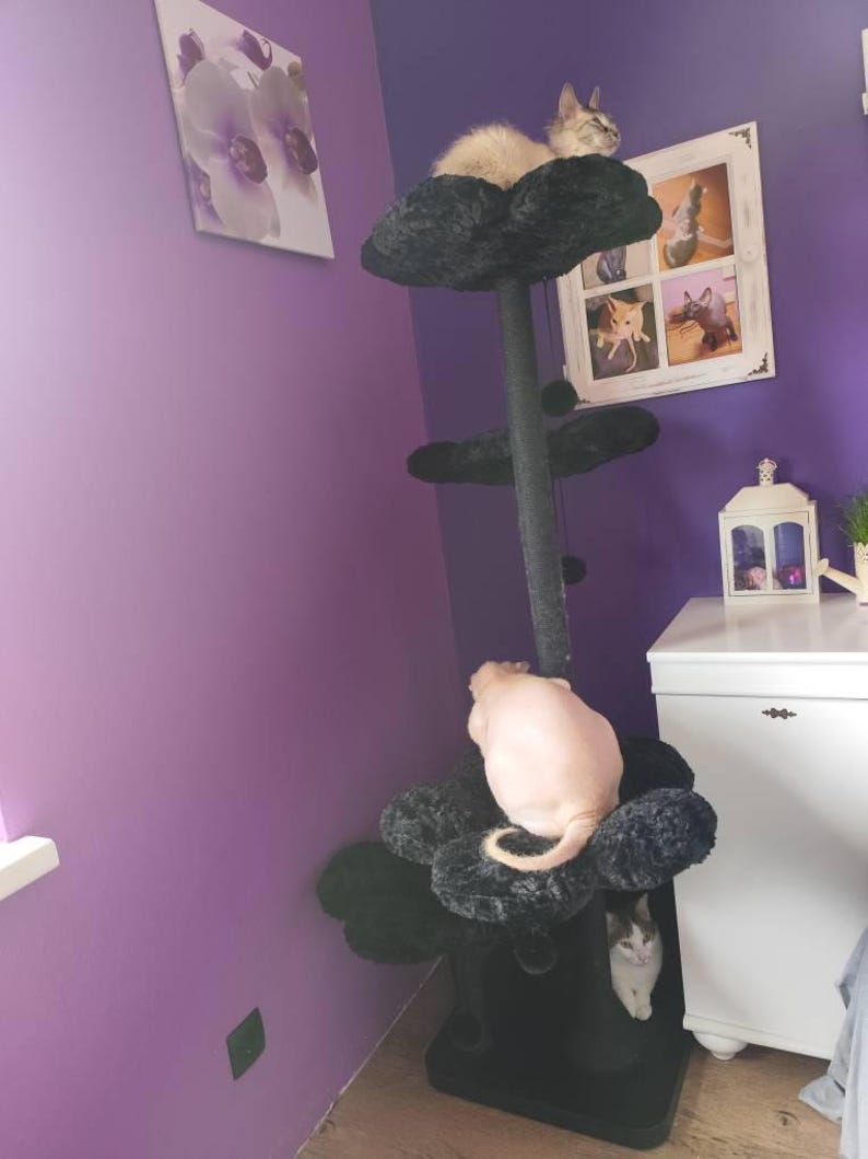 May include: A black cat tree with several platforms covered in dark grey plush material. Three cats are using the tree, one at the top, one in the middle, and one at the base. The background is a purple wall with a framed picture.