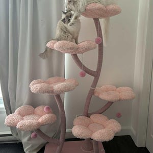 May include: A pink cat tree with flower-shaped platforms and dangling pom-poms. Two fluffy cats are on the tree. The tree is made of a soft, plush material, providing a comfortable and engaging space for cats. The tree is in a room.