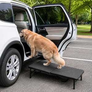May include: A golden retriever dog stands on a black, rectangular, foldable pet step platform with metal legs, positioned at the open rear door of a white SUV to assist the animal in entering the vehicle from the asphalt parking lot surface.