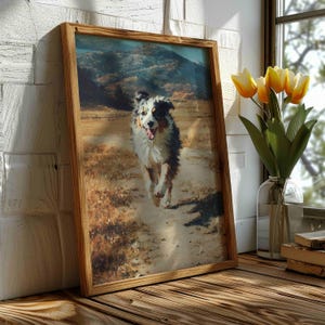 May include: A framed print of an Australian Shepherd dog running on a dirt path. The dog has a blue merle coat and is running towards the viewer with its mouth open. The background features a landscape with mountains and a fence. The frame is made of wood.