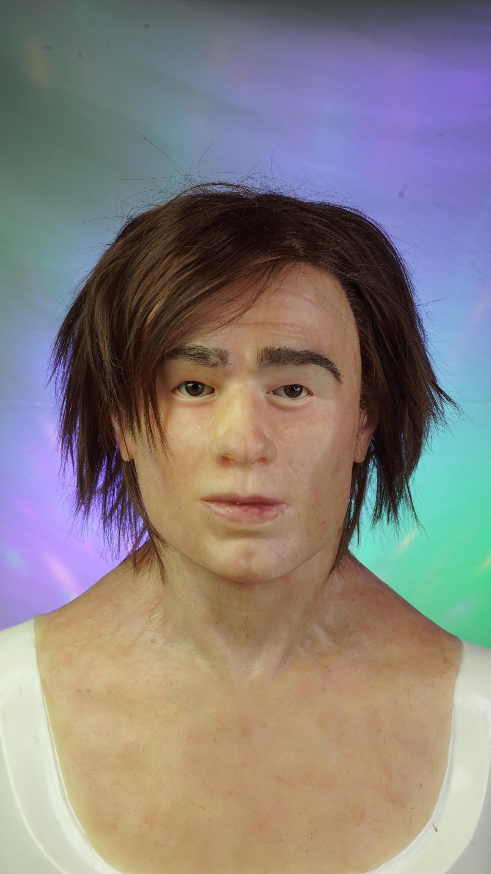 Realistic horse head mask - Etsy België, image size:1688x3000