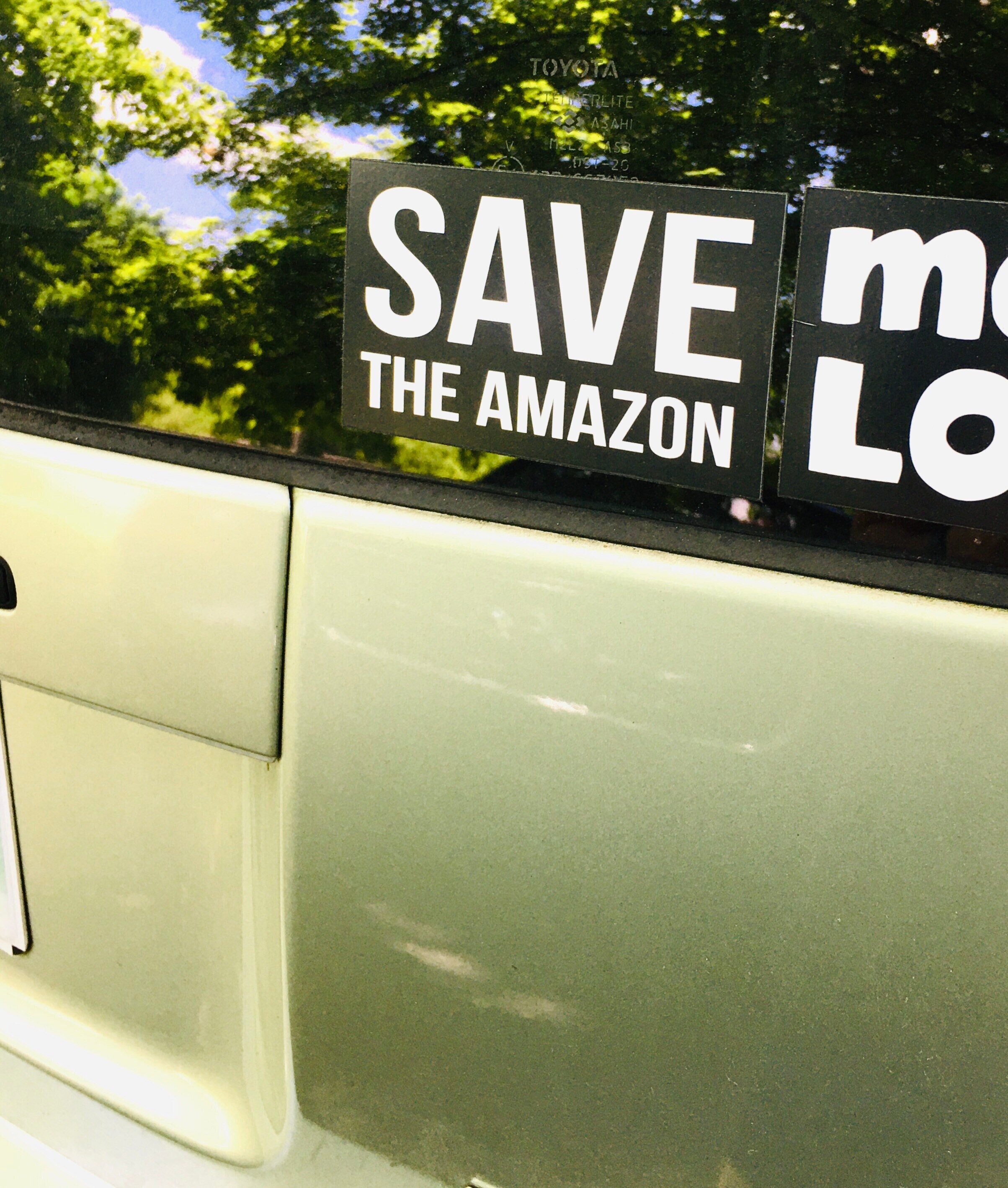 Save the Amazon Sticker: Weatherproof Vinyl, Profits Donated - Etsy