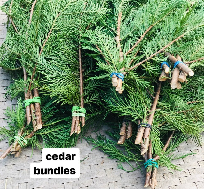 Eastern Cedar Cypress Branches Available All Year Cut Etsy