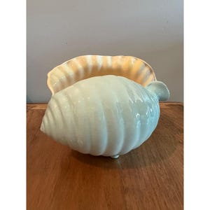 May include: A ceramic conch shell planter featuring a glossy light mint green exterior with a subtle crackle glaze finish. The interior of the shell is a soft, pale peach color with a ruffled, scalloped edge that curves along the top opening.