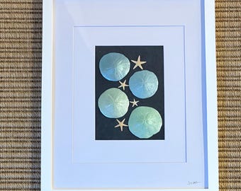 Handgemaakte Cape Cod Sand Dollar & Starfish-muurkunst