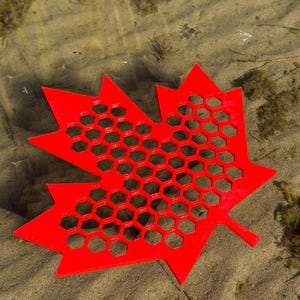 Puede incluir: Un objeto rojo brillante en forma de hoja de arce con un patrón de panal en el centro. La hoja descansa sobre una superficie arenosa con agua y vegetación en el fondo.