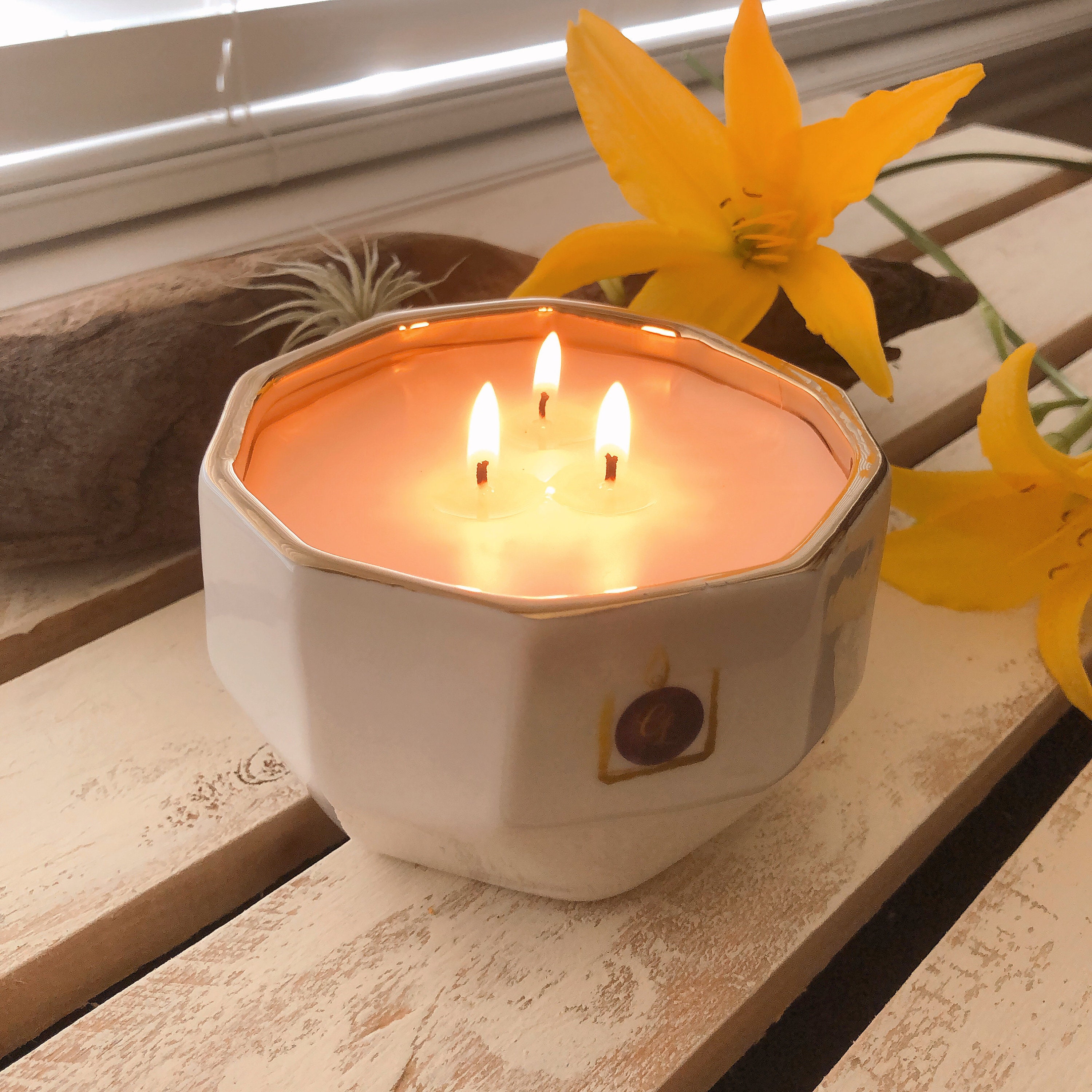 Multi Wick Luxury Candle Coconut Wax 3Wick Premium Etsy