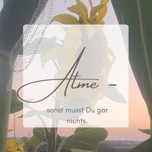 Op de afbeelding: Een foto met een levendige gele zonnebloem in volle bloei, tegen een zachte, vage achtergrond. De afbeelding bevat tekst in een witte rechthoek met de tekst "Atme - sonst musst Du gar nichts."