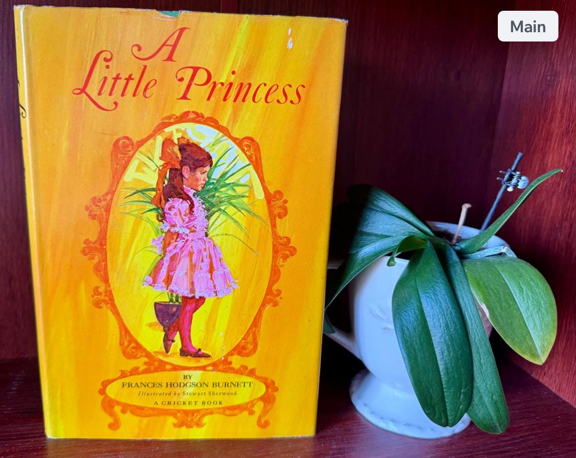 A Little Princess Hardcover - Etsy