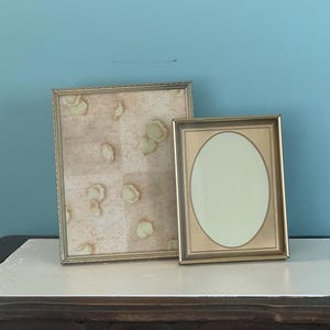 May include: Two rectangular picture frames. The larger frame has a thin, textured metallic border and contains a beige print with scattered petal motifs. The smaller frame features a smooth gold finish and an oval-shaped mat with a cream center.